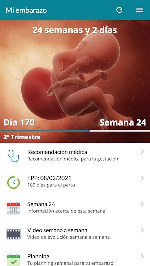 Gynaikos Screenshot 1