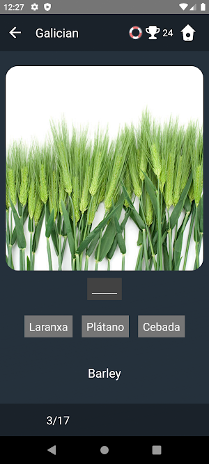 Galician Language Tests Screenshot 3