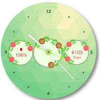 Flowers watch face theme