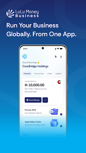 LuLu Money Business Screenshot 0