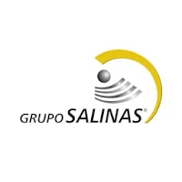 FR Grupo Salinas