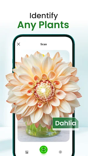 Florify: AI Plant Identifier Screenshot 0
