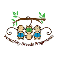 Super Monkeys Academy