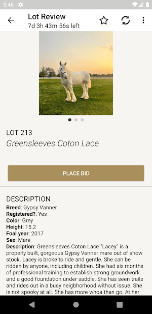 Rocking Z Horses Screenshot 2