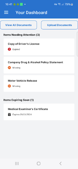 DataSense Mobile Screenshot 2