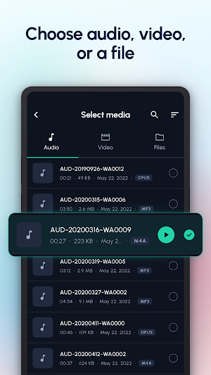 Denoiser: Audio Noise Remover Screenshot 1