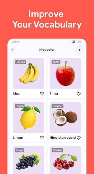 Learn Turkish for beginners Screenshot 2