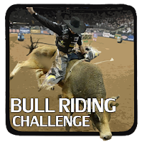 Bull Riding Challenge