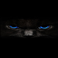 Cat Black Wallpapers