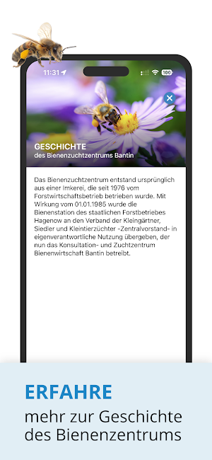 Apineum Screenshot 2