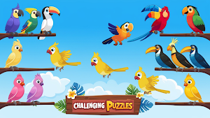 Bird Color Sort Puzzle Game IQ Screenshot 0