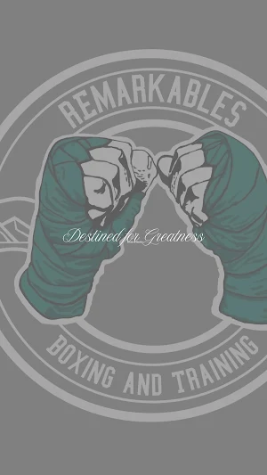 Remarkables Boxing Screenshot 0