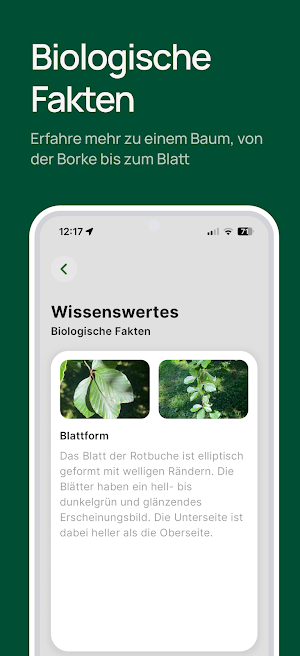 Lindenhofpark Screenshot 2