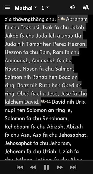 Bawm Bible Screenshot 3