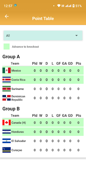Concacaf Gold Cup 2025 Screenshot 3