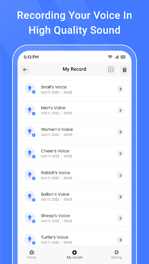 Voice Effects: Sound Changer Screenshot 2