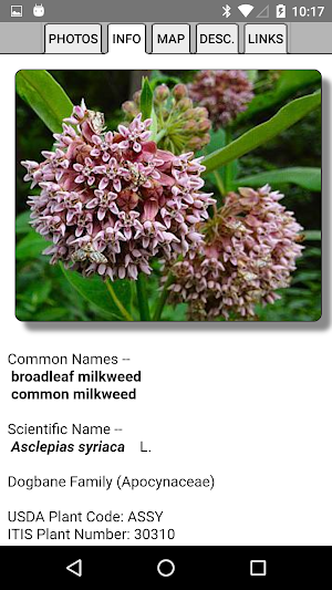 Kentucky Wildflowers Screenshot 2