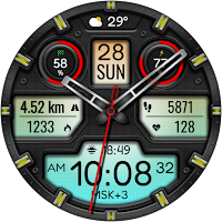 Hybrid TRUNAMA WS20 Watch face