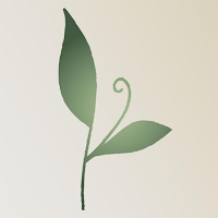 Orchid Pediatrics