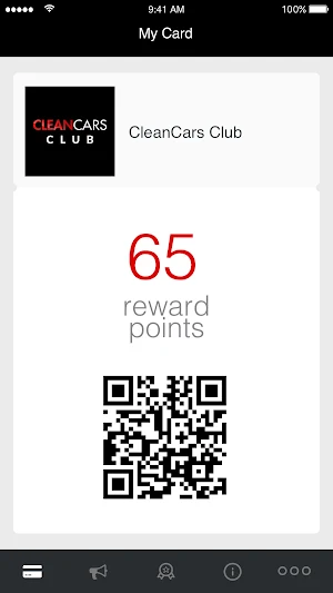 Clean Cars Club Screenshot 1