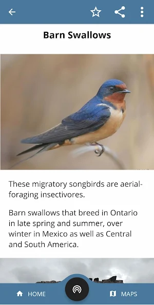Heartland Forest Trails Screenshot 3