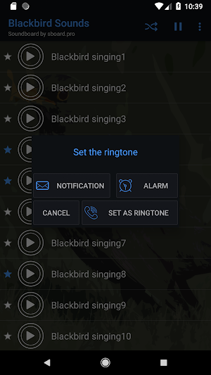 Blackbird (animal) sounds ~ Sboard.pro Screenshot 2