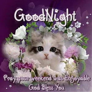 Good night Images Screenshot 0