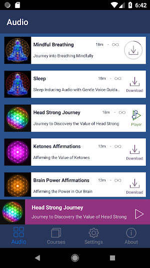 Bliss Mechanics Academy Screenshot 0