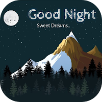 good night photo