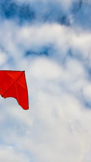 Kite Flying Wallpaper Screenshot 2