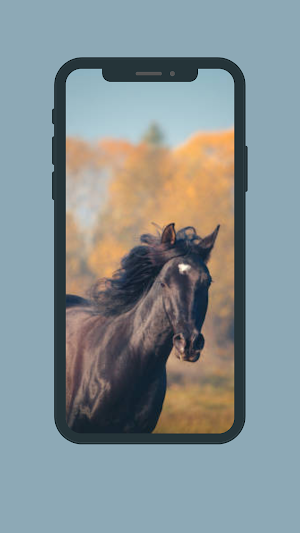 running horse wallpaper 2022 Screenshot 1
