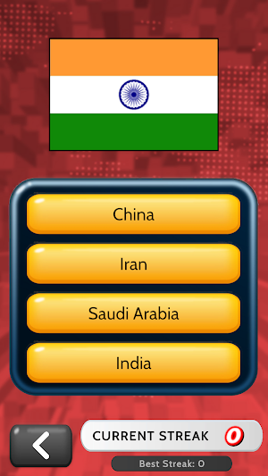 Guess The Flag! Screenshot 1