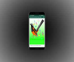 Suara Burung Murai Batu Gacor Screenshot 0