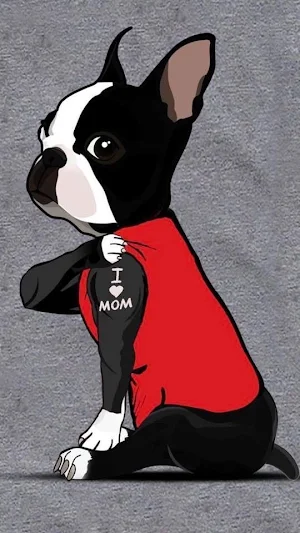 Boston Terrier Dog Wallpapers Screenshot 1