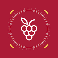 VinSip - AI Wine Shelf Scanner