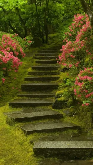 Garden Wallpapers Screenshot 2