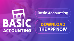 Basic Accounting Screenshot 0