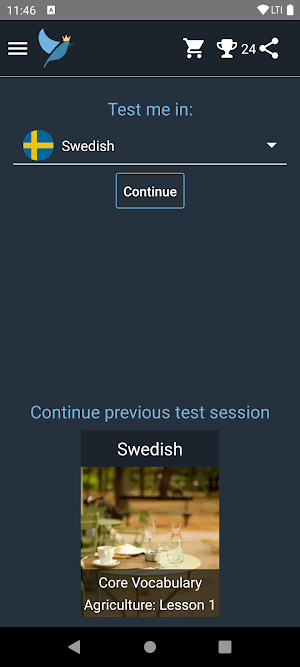 Swedish Language Tests Screenshot 0