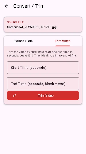 Screen Recording Converter Screenshot 3
