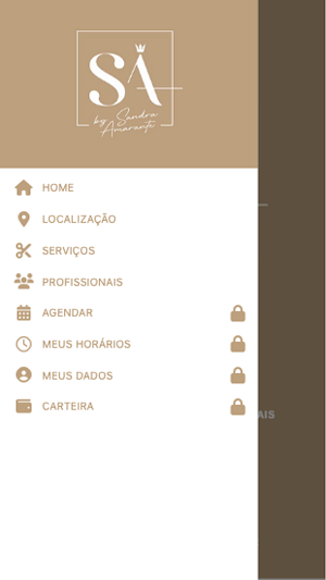 SA Concept Salon Screenshot 1