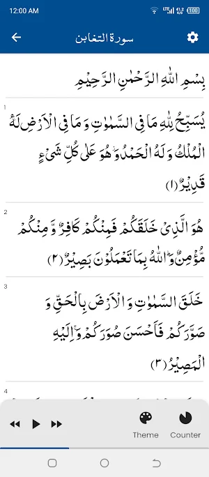 Surah Taghabun سورة التغابن Screenshot 0