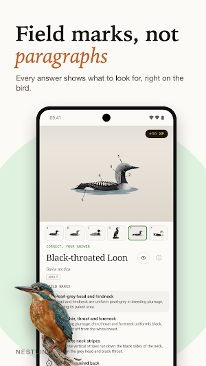 Nestling: Learn Birds Screenshot 3