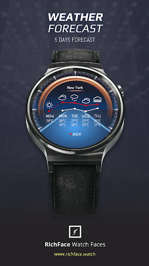 Cluster Watch Face Screenshot 2