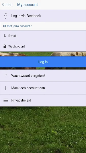 Vindjetap Screenshot 2