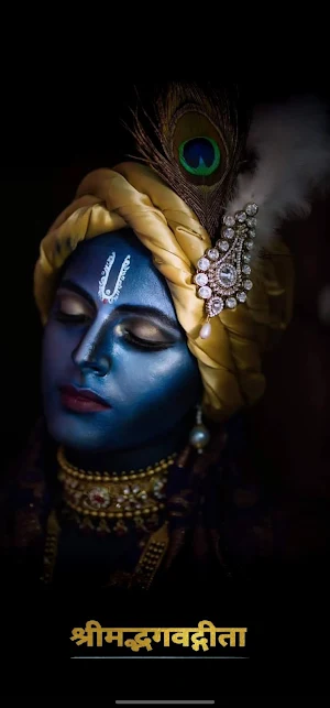 Bhagvad Geeta Screenshot 0