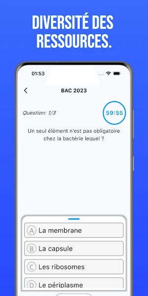Flouwae Screenshot 2