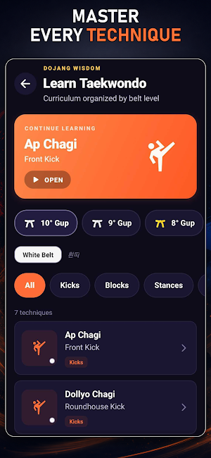 TaeFlow - Train like a master! Screenshot 2