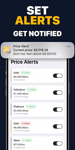 Gold & Silver Prices Live Screenshot 1