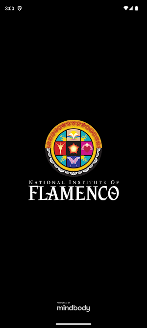 National Institute of Flamenco Screenshot 0