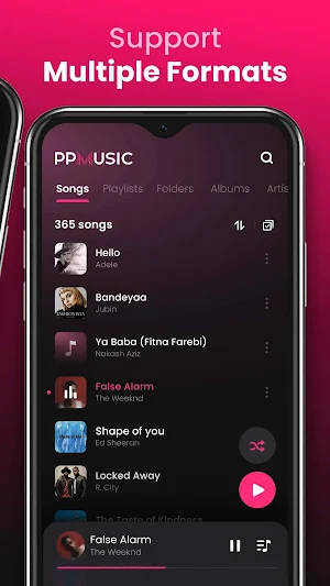 Offline Music Player & MP3 Screenshot 1